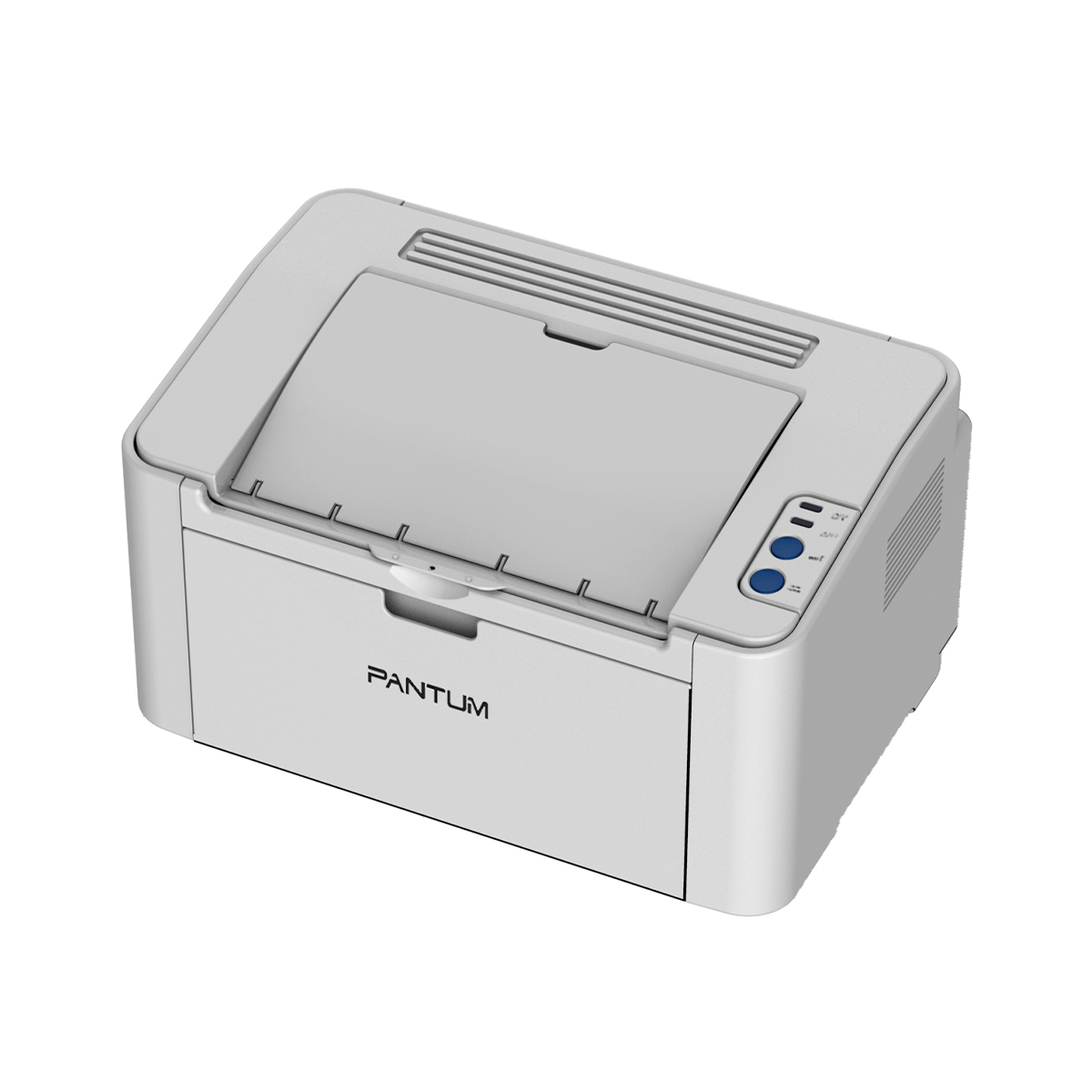 Pantum P2210 Mono laser single function printer
