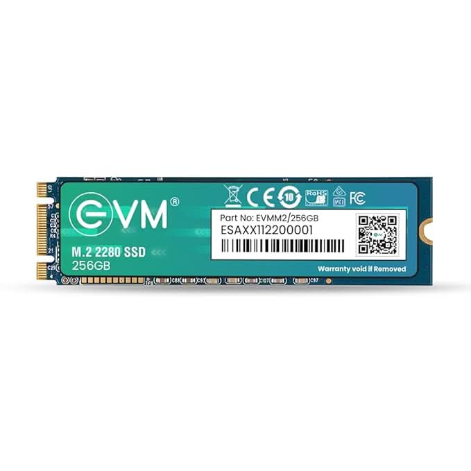 EVM 256GB M.2 SATA SSD (EVMM2/256GB)