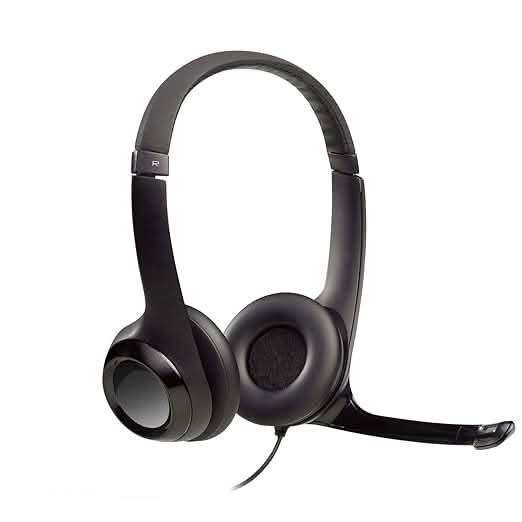 Logitech H390 Wired Headset Graphite