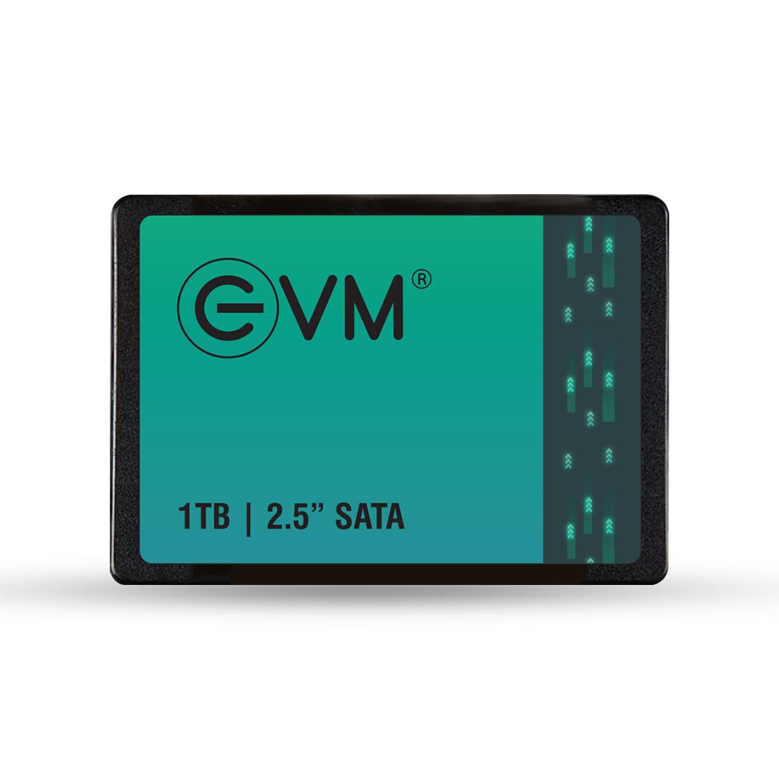 EVM 1TB INTERNAL SATA SSD EVM25/1TB