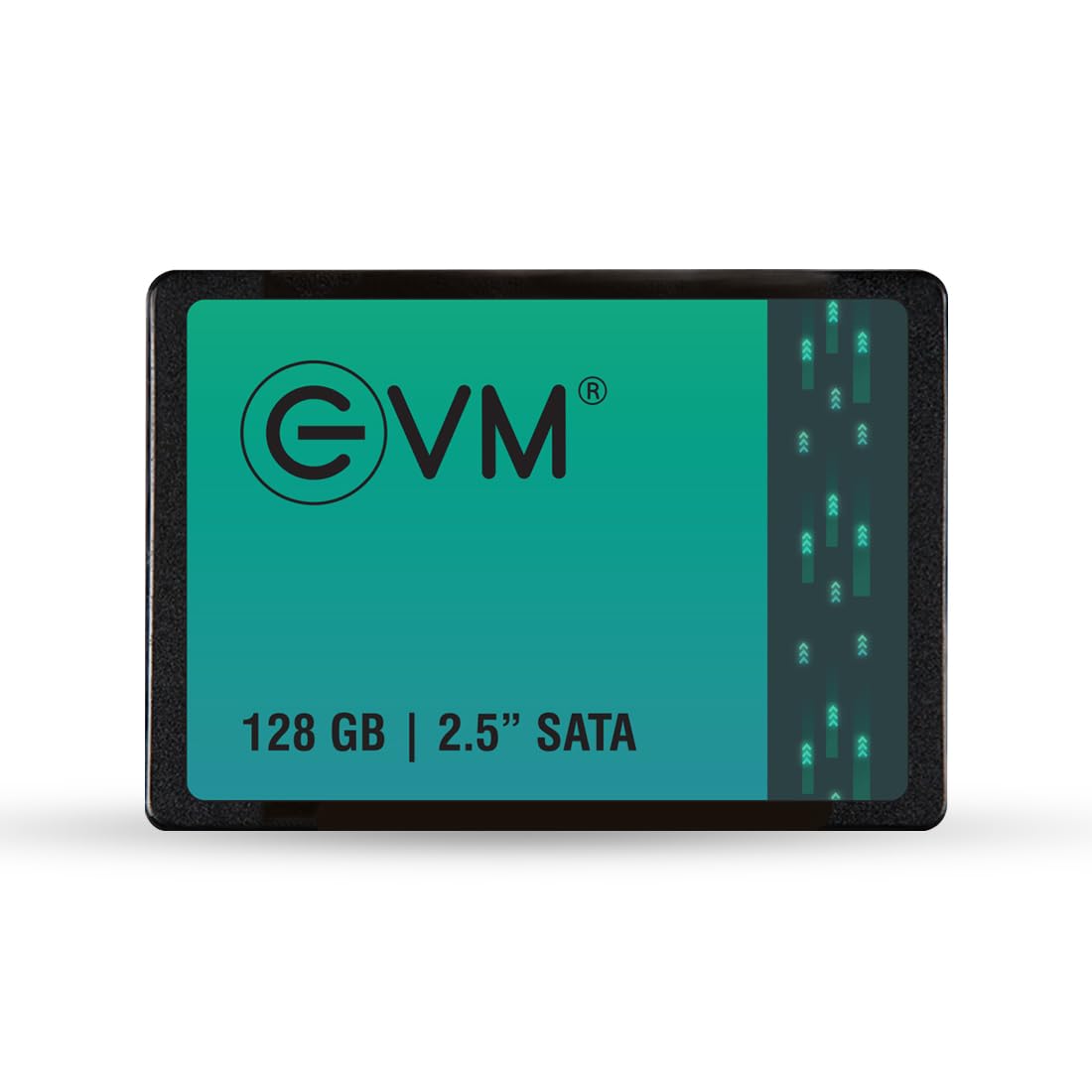 EVM 128GB INTERNAL SATA SSD EVM25/128GB