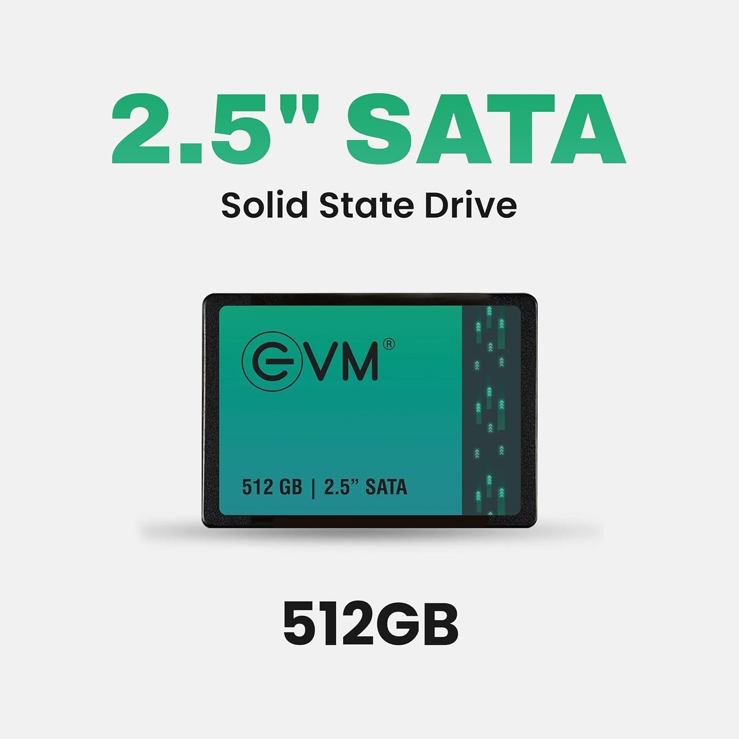 EVM 512GB INTERNAL SATA SSD EVM25/512GB