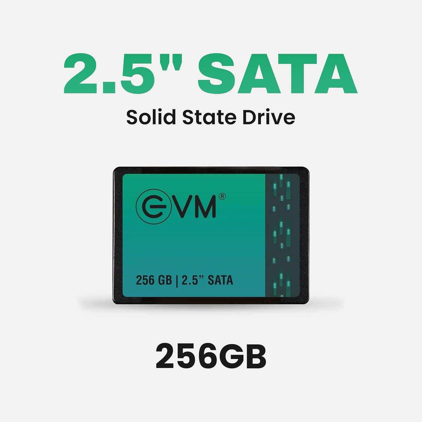 EVM 256GB INTERNAL SATA SSD EVM25/256GB