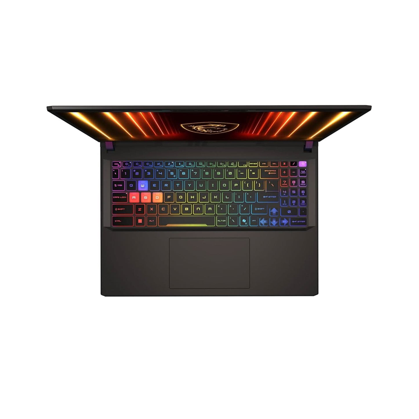 MSI VECTOR 16 HX AI,INTEL SERIES 2 CORE ULTRA 7 255HX,41CM QHD+ 240HZ GAMING LAPTOP(32GB/1TB NVME SSD/WINDOWS 11 HOME/GEFORCE RTX 5070 TI,GDDR7 12GB/COSMOS GRAY/2.7KG), A2XWHG-227IN