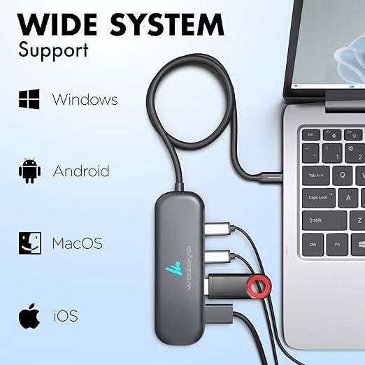 Wozoyo Type C to 2 Port Type C and 2 port USB 3.2 Hub, Series 1