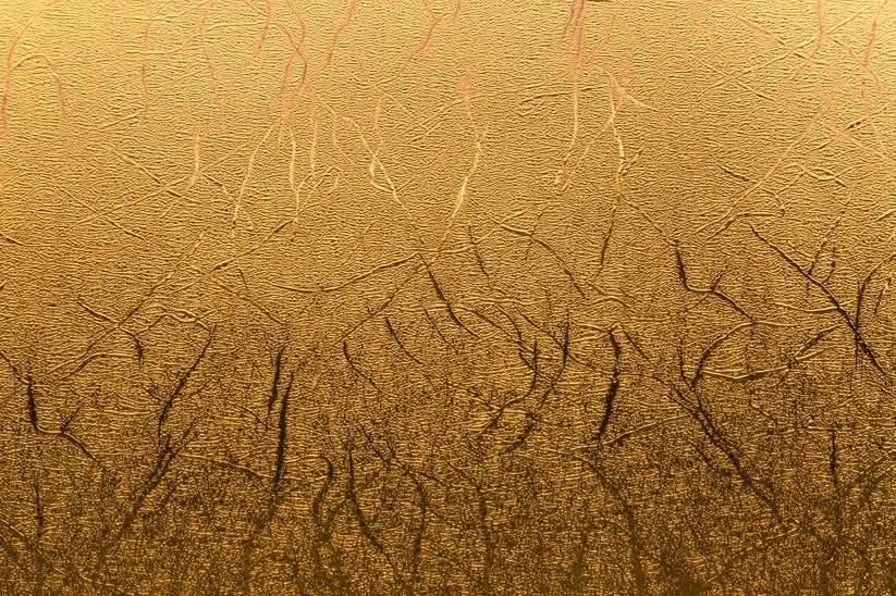 Circuit Premium Vinyl™ Textured Metallic
