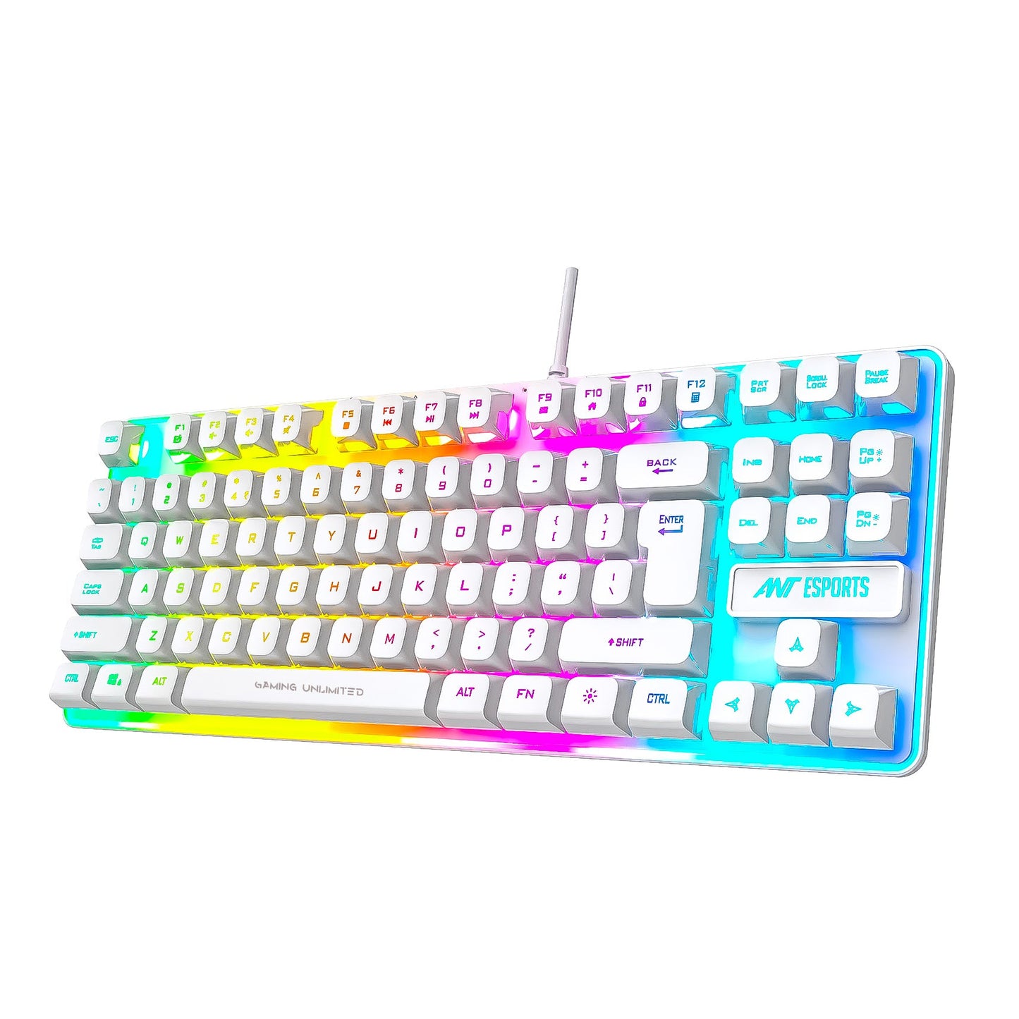 ANT ESPORTS MK700 V2 TKL BACKLIT GAMING KEYBOARD (MERCURY)