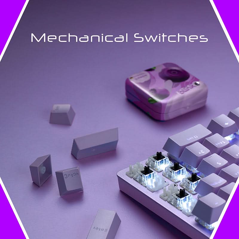 KBD-RAPOO-V500-PRO-PURPLE
