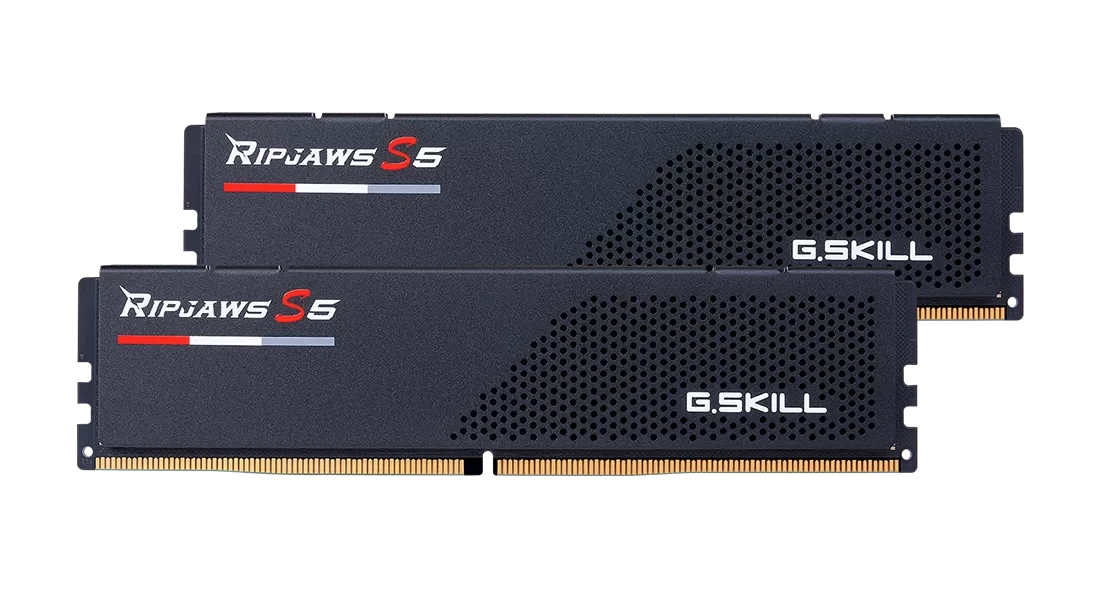 GSKILL MEMORY F5-6400J3239G32GX2-RS5K