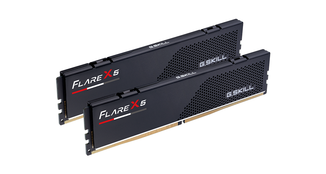 G.Skill Flare X5 64GB (32GBx2) 6000MHz CL30 DDR5 RAM F5-6000J3040G32GX2-FX5