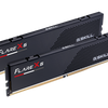 G.Skill Flare X5 64GB (32GBx2) 6000MHz CL30 DDR5 RAM F5-6000J3040G32GX2-FX5