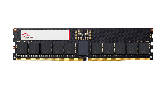 GSkill T5 Neo 256GB (64GBx4) DDR5 ECC RDIMM 6400 Mhz CL36 Ram F5-6400R3644E64GQ4-T5N