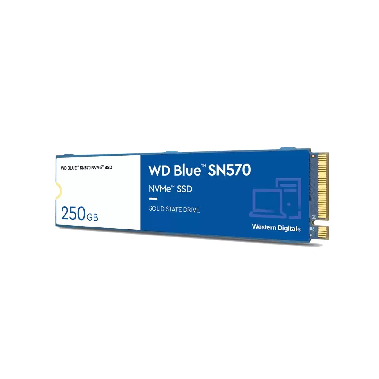 WESTERN DIGITAL 250GBSN570 BLUE NVME INTERNAL SSD WESTERN DIGITAL S250G3B0C
