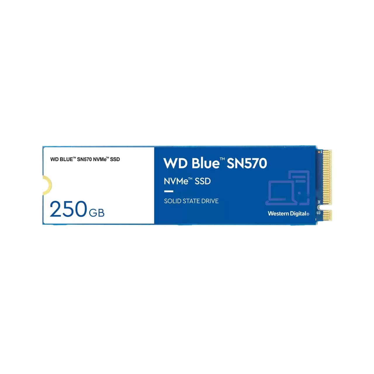 WESTERN DIGITAL 250GBSN570 BLUE NVME INTERNAL SSD WESTERN DIGITAL S250G3B0C