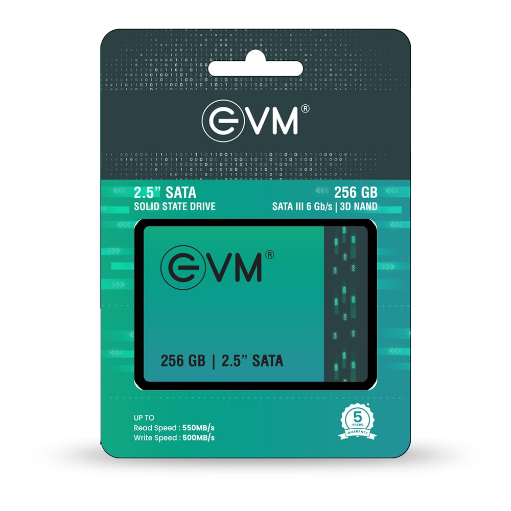 EVM 256GB INTERNAL SATA SSD EVM25/256GB