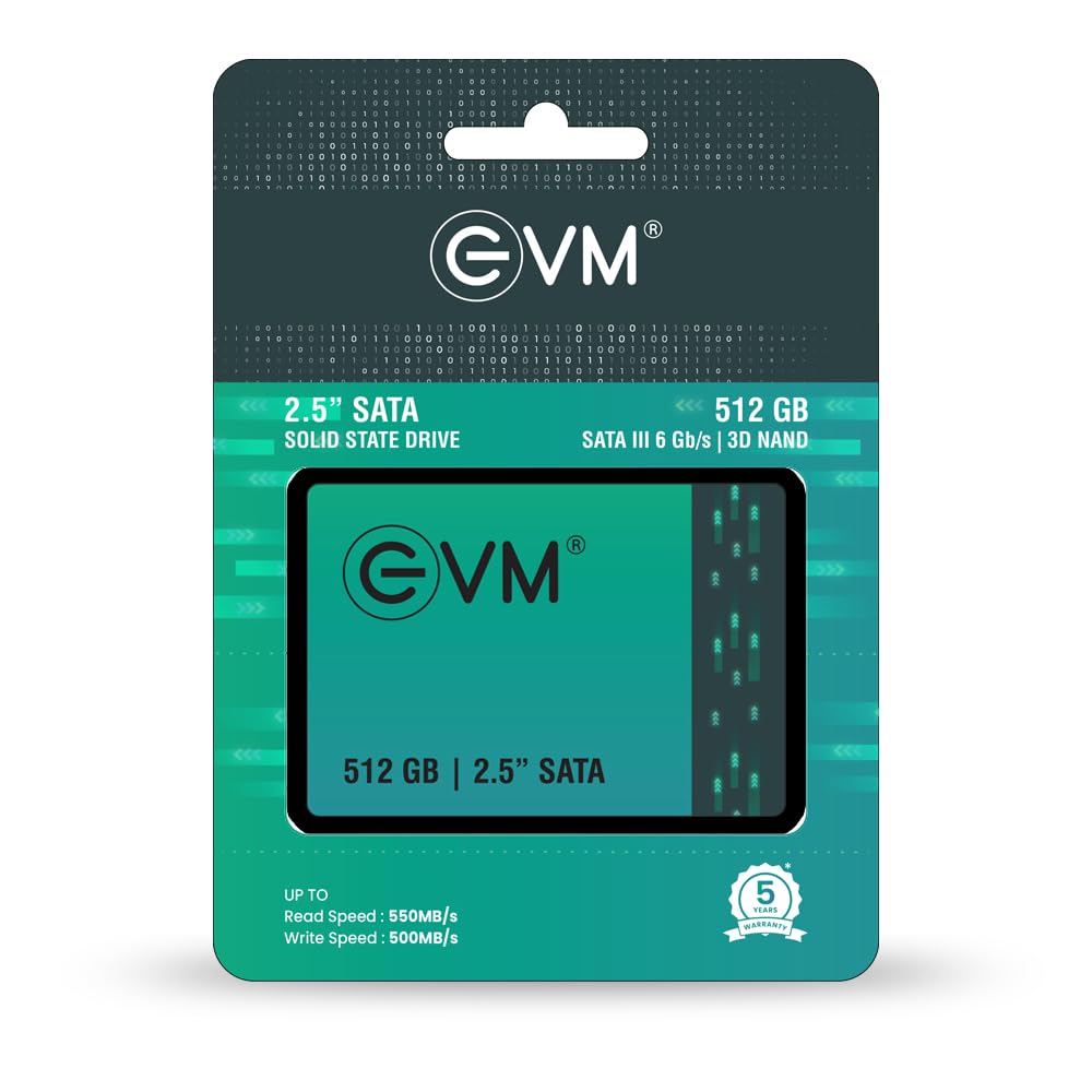 EVM 512GB INTERNAL SATA SSD EVM25/512GB