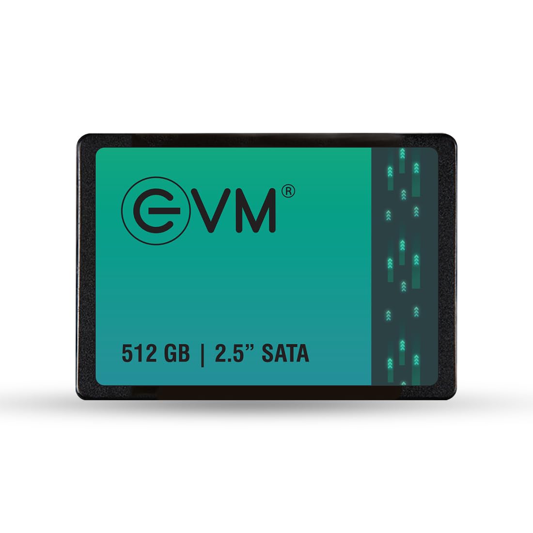 EVM 512GB INTERNAL SATA SSD EVM25/512GB