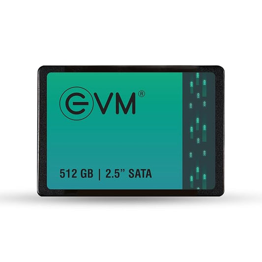 EVM 512GB INTERNAL SATA SSD EVM25/512GB