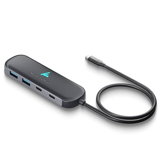 Wozoyo Type C to 2 Port Type C and 2 port USB 3.2 Hub, Series 1