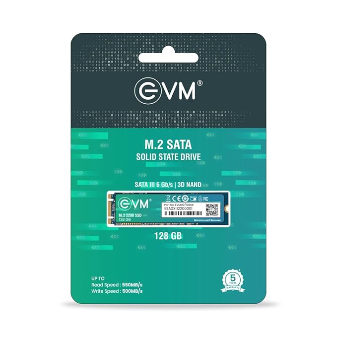 EVM 128GB INTERNAL SATA M.2 SSD EVMM2/128GB