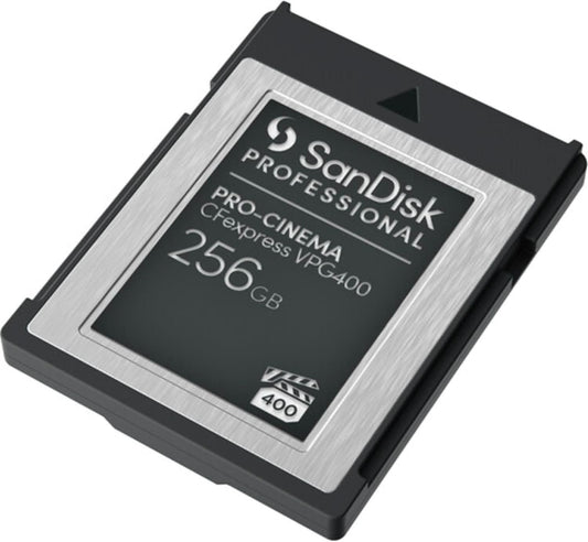 SanDisk Professional 256GB PRO,SDPCVN4-256G-GNANN