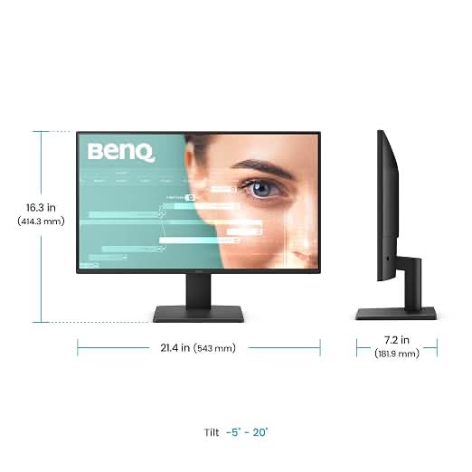 BenQ GW2491P 24-inch FHD IPS Monitor