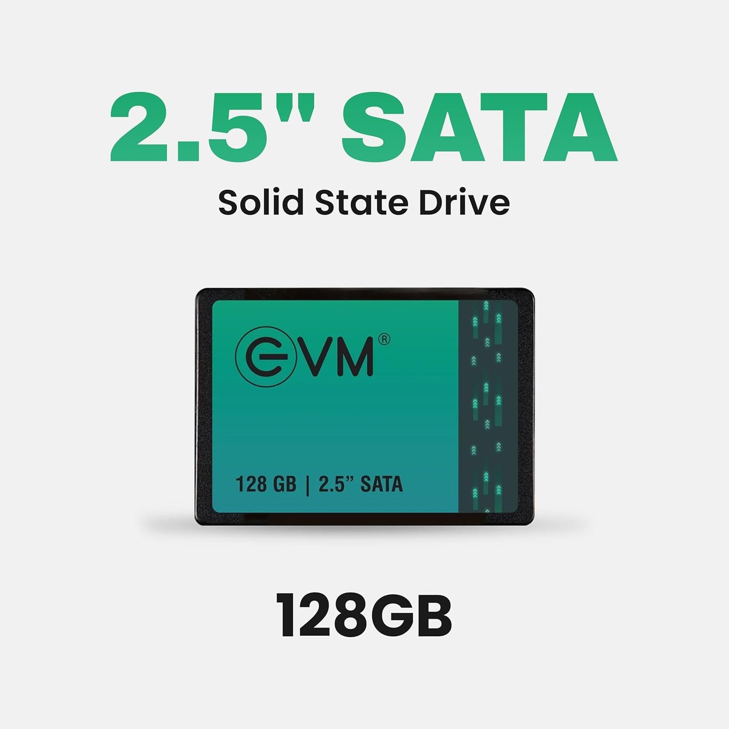EVM 128GB INTERNAL SATA SSD EVM25/128GB