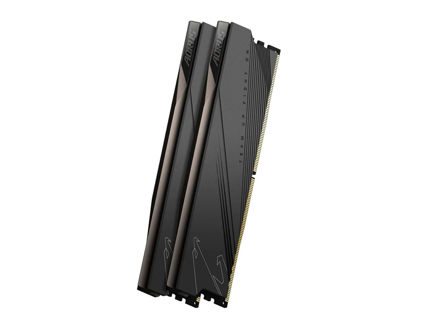 AORUS Memory GP-ARS32G52D5 (DDR5 32GB (2x16GB) 5200MHz)