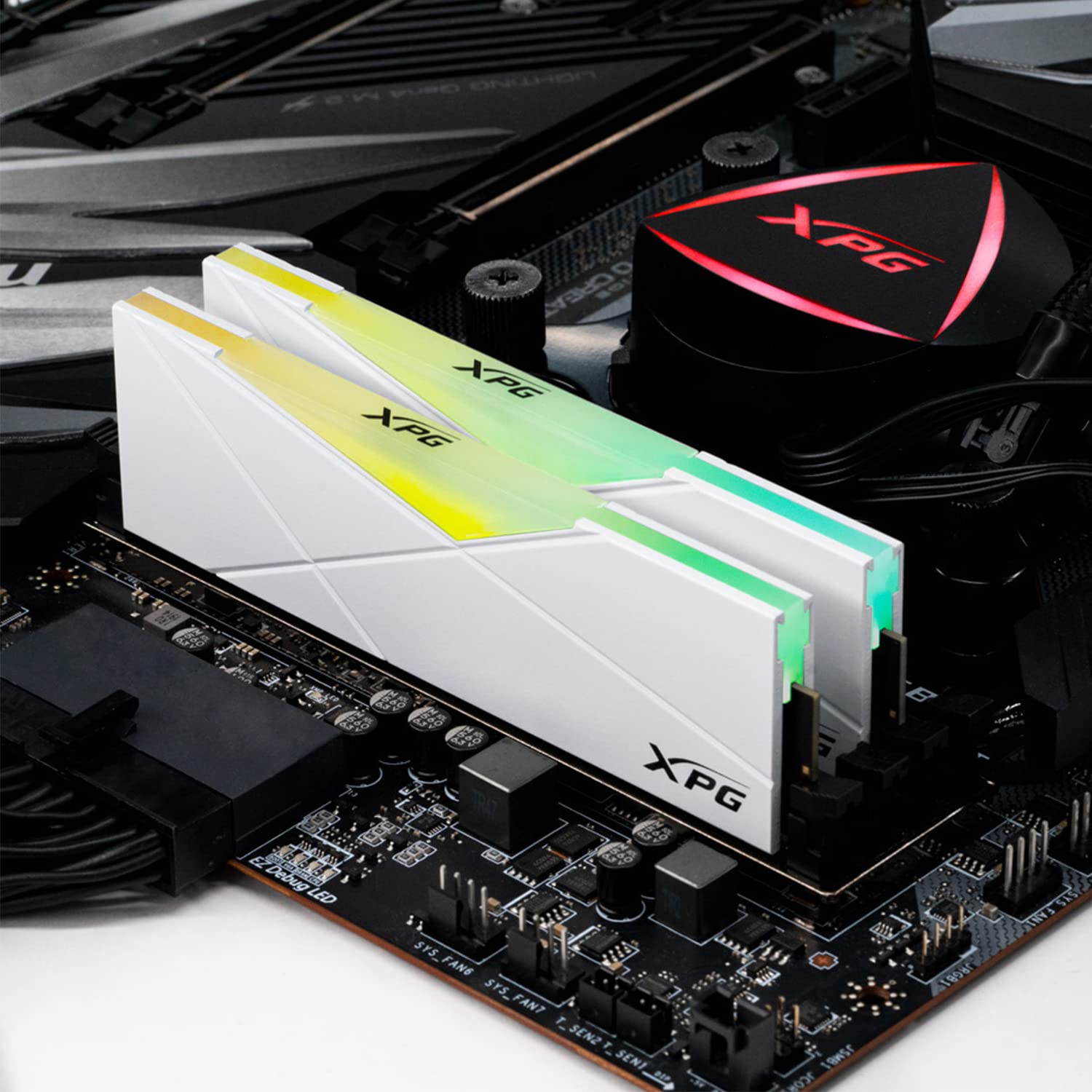 W*D様 ADATA AX4U320016G16A-DW50 DDR4 16GB ADATA XPG 16GB D4 3200MHZ SW50 RGB DESKTOP RAM WHITE AX4U320016G16A-SW