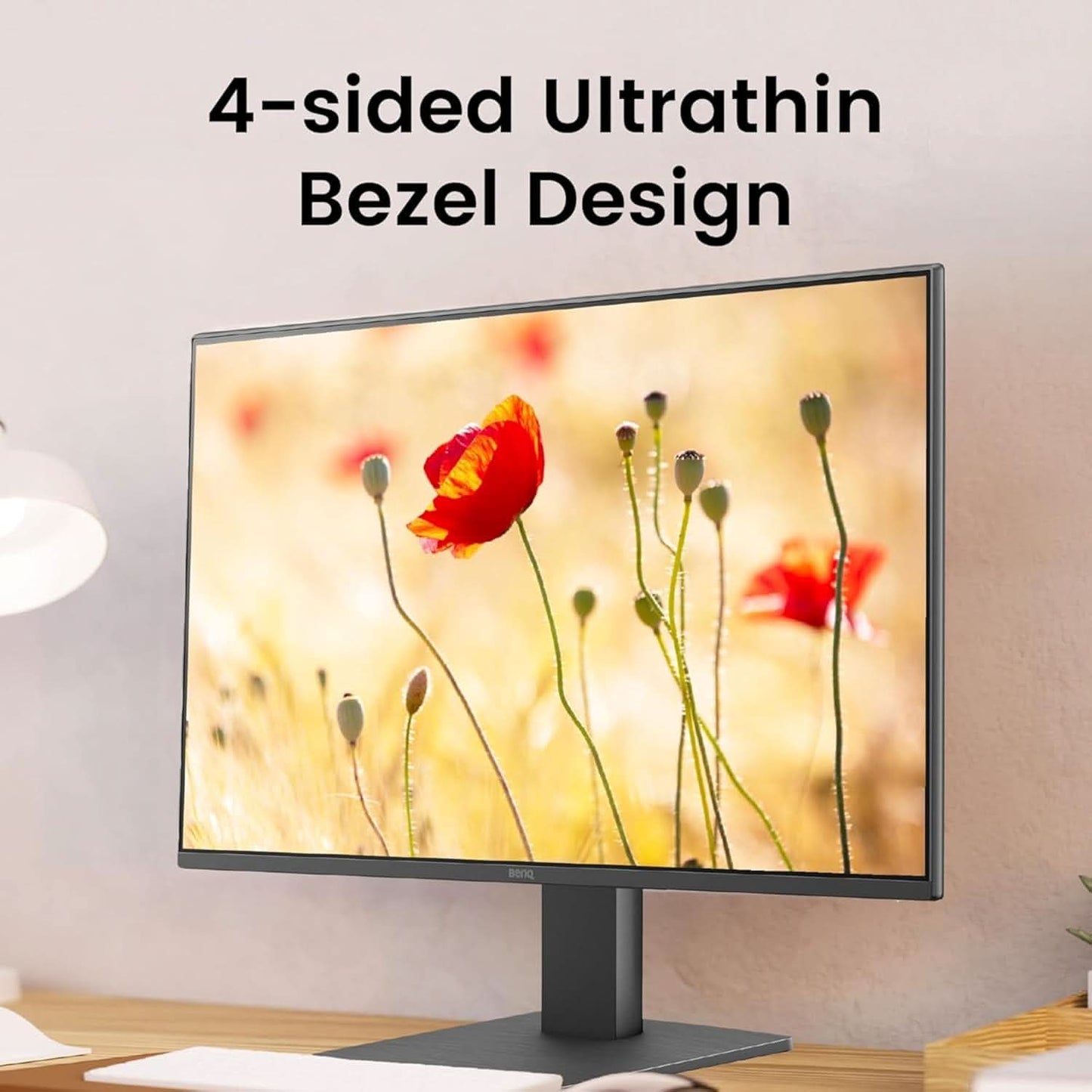 BenQ GW2491 RGB Monitor (black)
