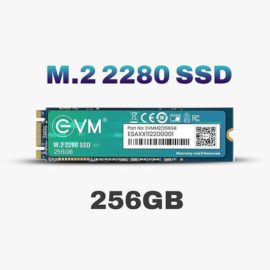 EVM 256GB M.2 SATA SSD (EVMM2/256GB)