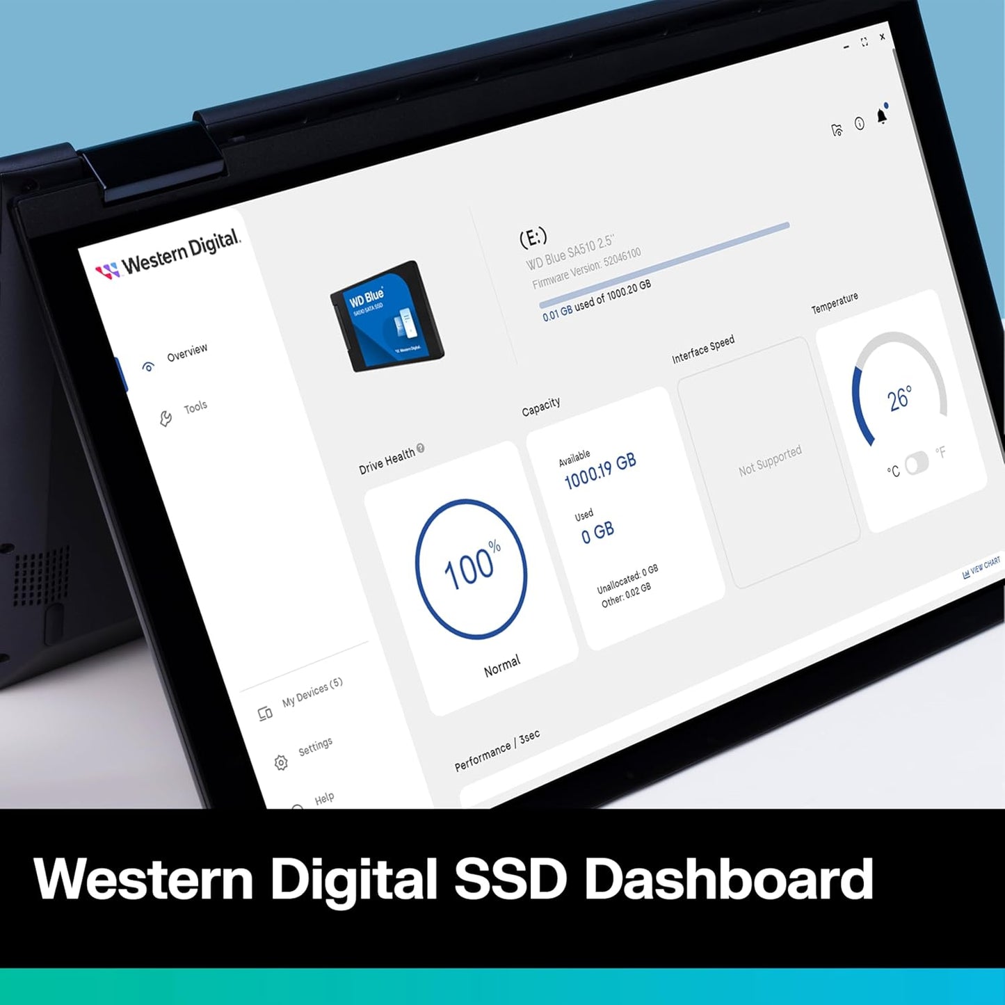 WESTERN DIGITAL BLUE 1TB INTERNAL SATA SSD