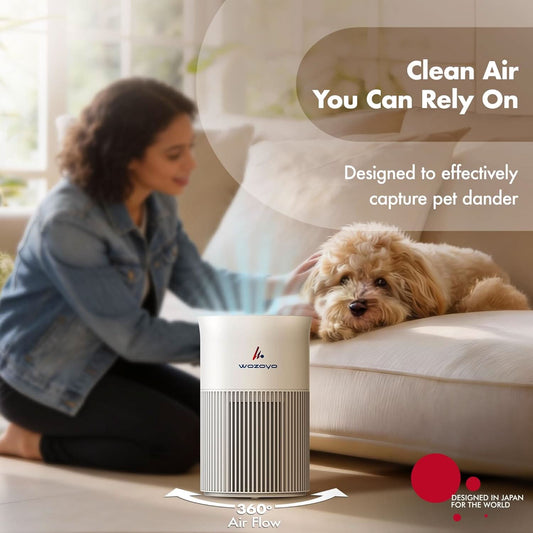 Wozoyo Pure Air PA1