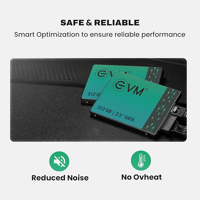 EVM 512GB INTERNAL SATA SSD EVM25/512GB