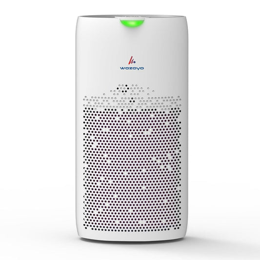 Wozoyo Pure Air PA5