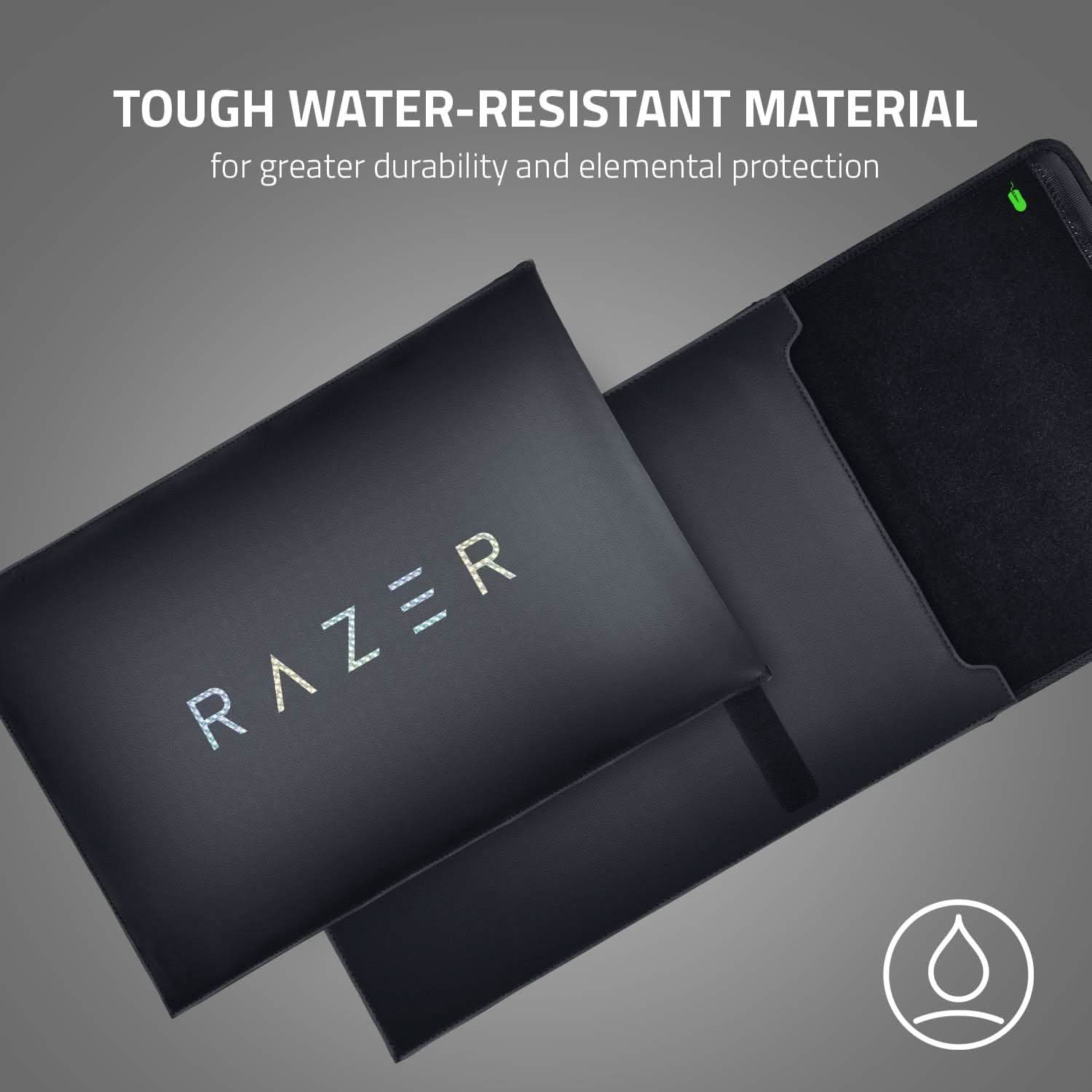 RAZER 17.3