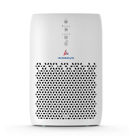 Wozoyo Pure Air PA2