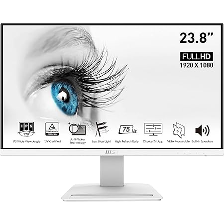 MSI 24 INCH MP243W PRO FHD IPS BUSINESS MONITOR