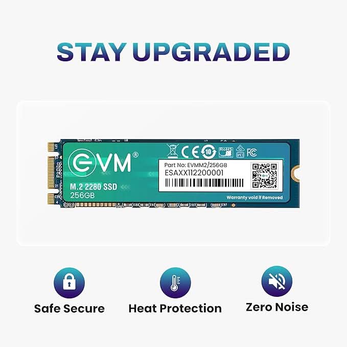 EVM 256GB M.2 SATA SSD (EVMM2/256GB)