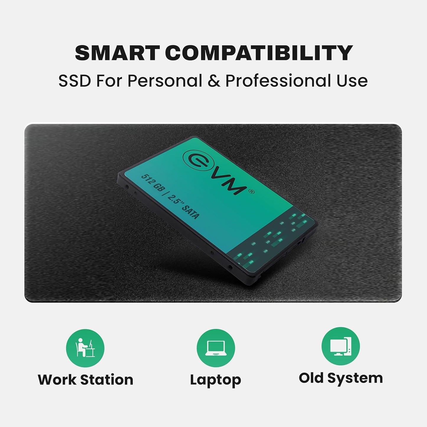 EVM 512GB INTERNAL SATA SSD EVM25/512GB