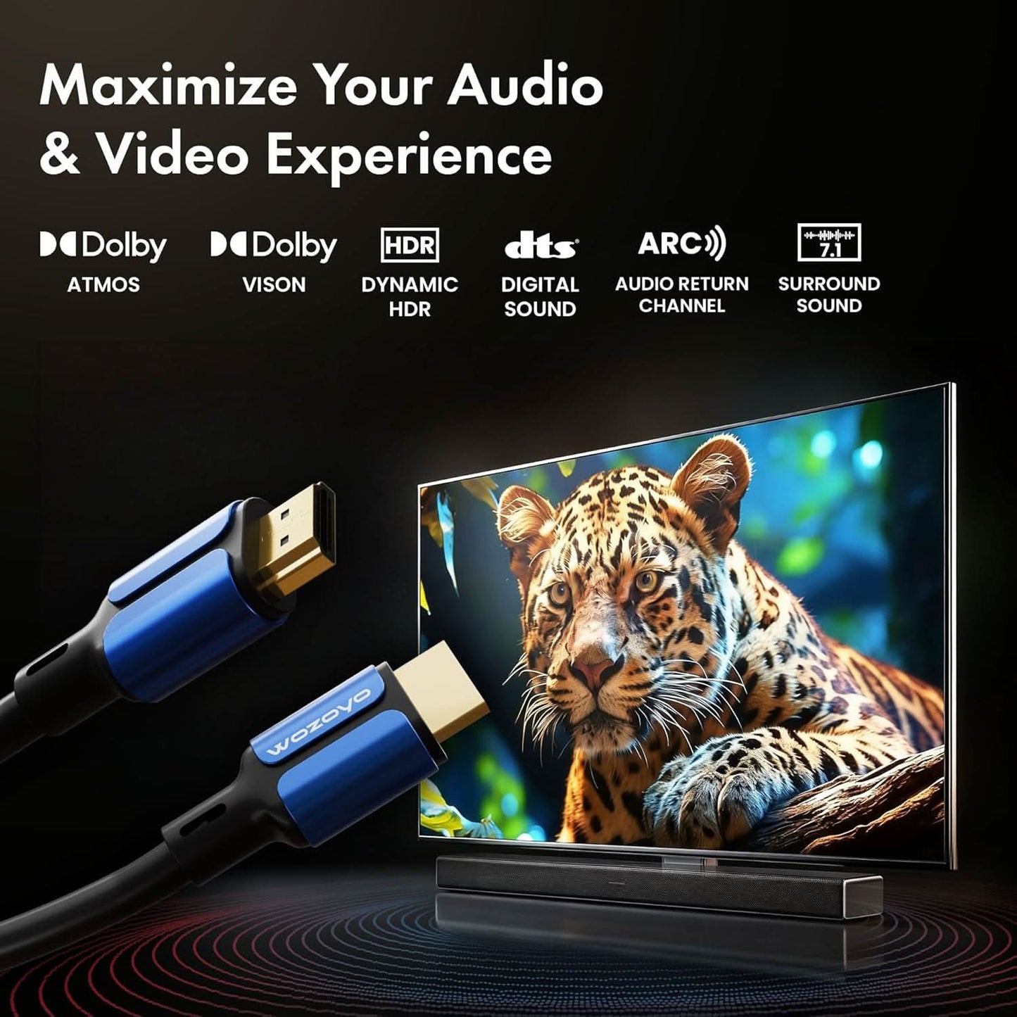 Wozoyo HDMI Cable 2.0 Compliant - 2Meter, Series 1