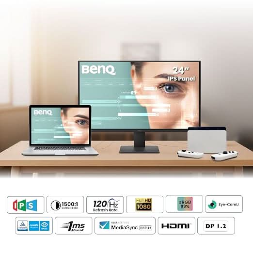 BenQ GW2491P 24-inch FHD IPS Monitor