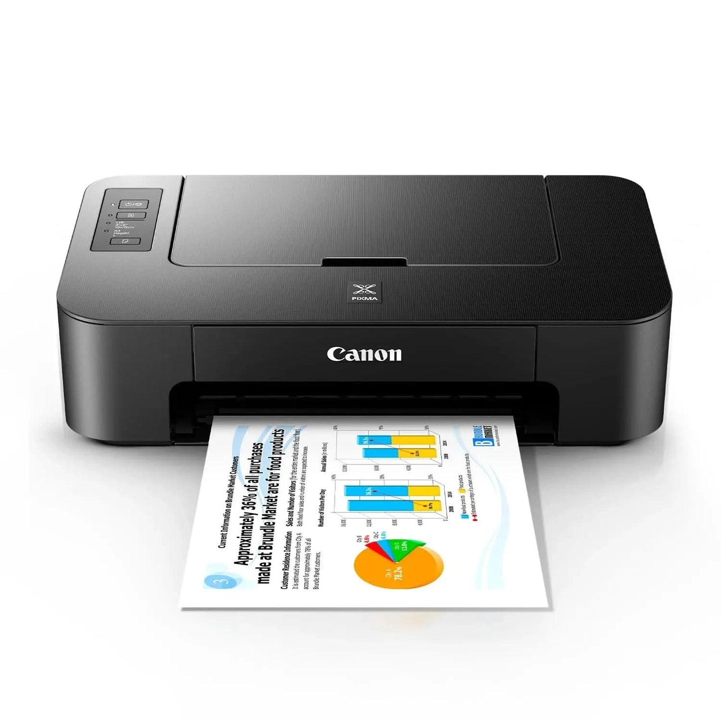 Canon Pixma TS207 Single Function Inkjet Printer (Black)