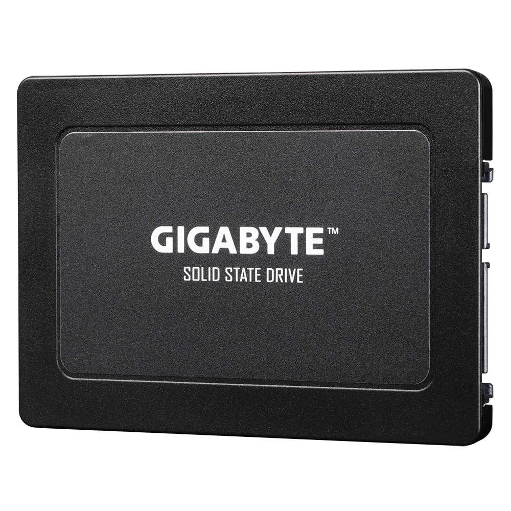 Gigabyte 240GB SATA Internal Solid State Drive GP-GSTFS31240GNTD