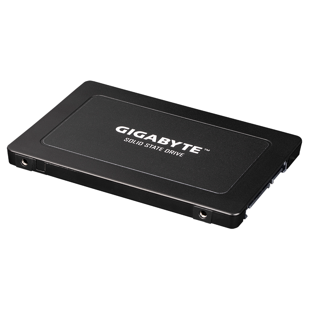 Gigabyte 240GB SATA Internal Solid State Drive GP-GSTFS31240GNTD