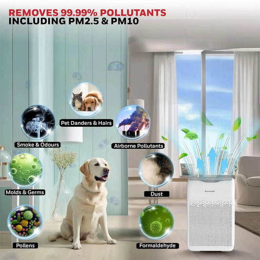 Honeywell Air Purifier for Home, 4 Stage Filtration, Covers 388 sq.ft, High Efficiency Pre-Filter, H13 HEPA Filter, Activated Carbon Filter, Removes 99.99% Pollutants & Micro Allergens - Air touch V2