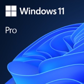 Microsoft Windows Professional 11 64-bit All Languages (license via email)