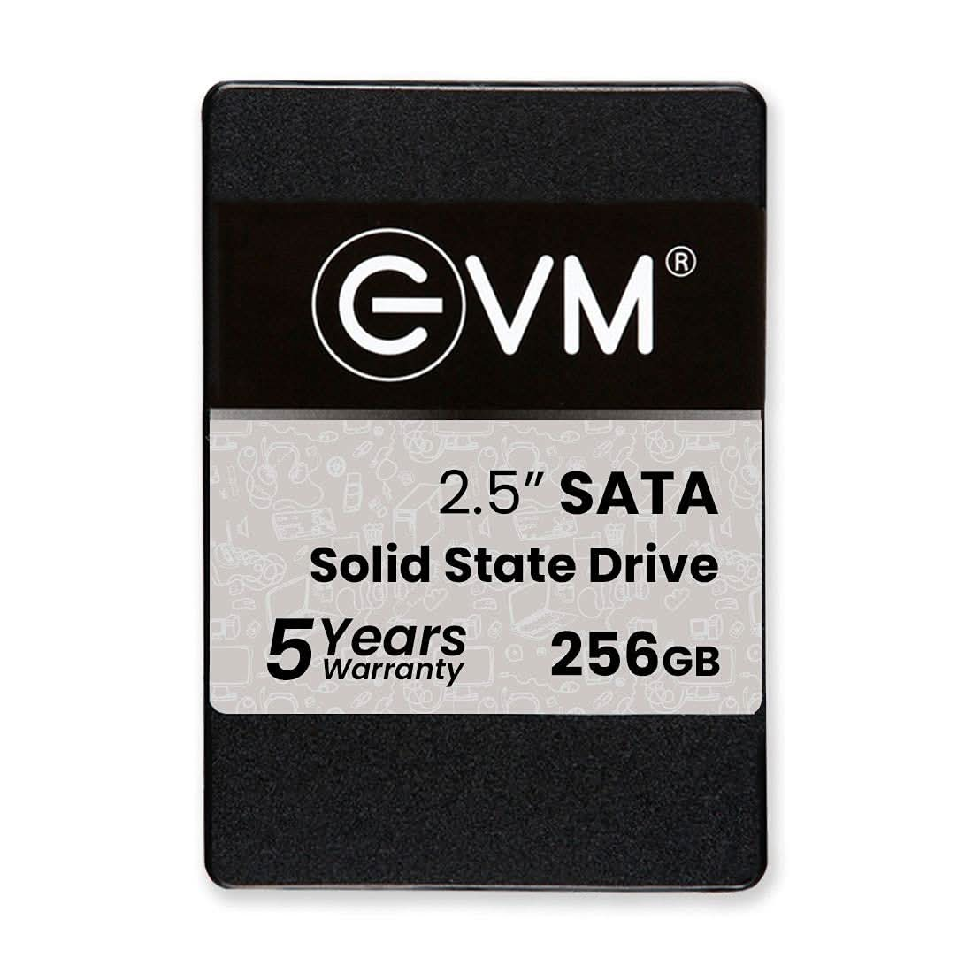 SSD-256-GB-EVM-SATA