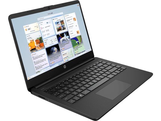 HP 14S DQ3141TU [CDC-N4500 INTEL/8GB/512GB SSD/WIN11 HOME+MS24/14.0"/INTEGRATED GRAPHICS /1 YEAR(S)/BLACK]