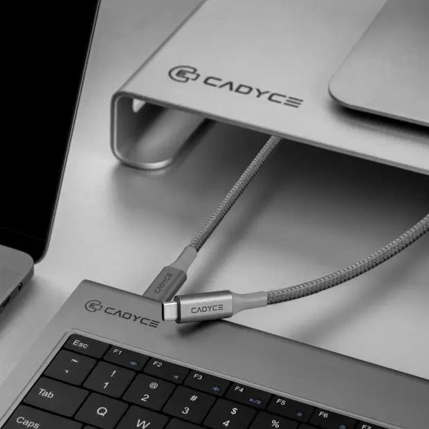 Cadyce CADMIUM SPACE GRAY : CADMIUM C TO C sync/charging CABLE LENGTH 2M